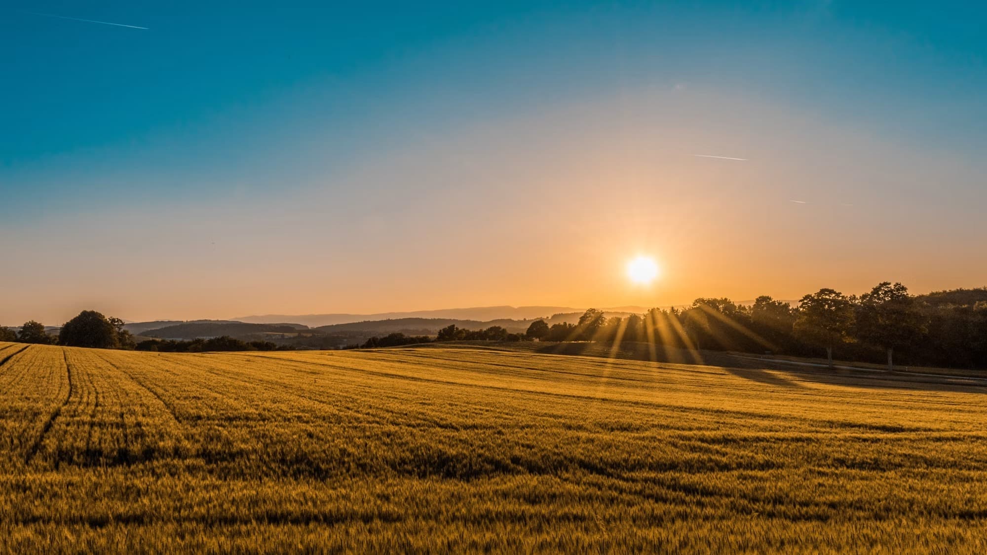 Agriculture & Agribusiness